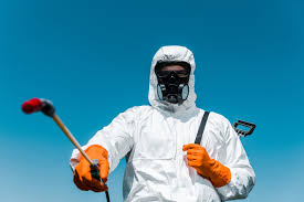 Best Pest Control for Restaurants and Food Service  in Patterson, LA